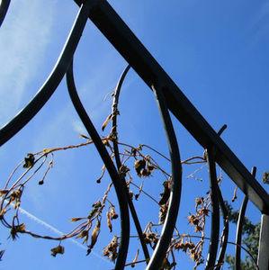 Meet your Posher, Petra